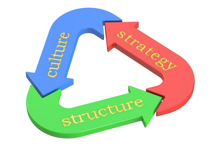 culture, structure, strategy