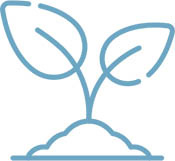 plant with two leaves